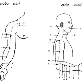 Masáž horných končatín a masáž tváre – 3.časť