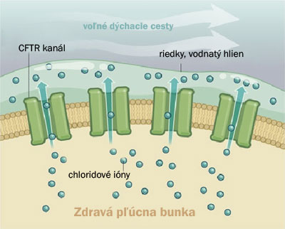 Liek na vylepšenie mutácie G551D pri cystickej fibróze