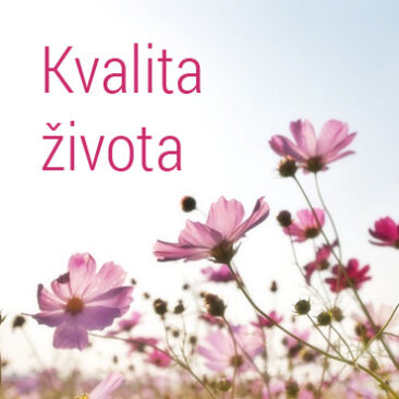 kvalita života
